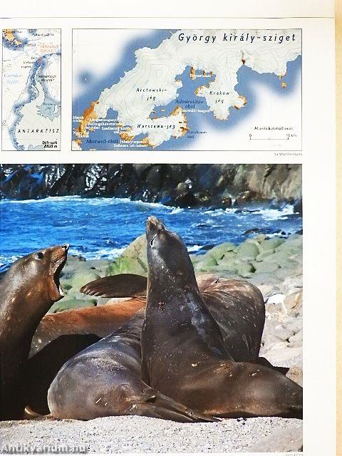 National Geographic Magyarország 2003. június