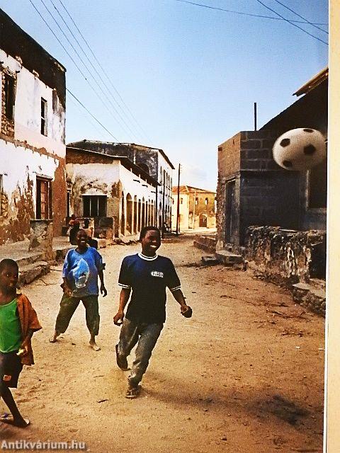 National Geographic Magyarország 2006. június