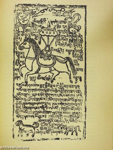 A köztes lét könyvei