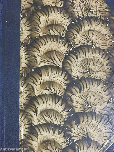 Magyar torna 1935-1936. január-december