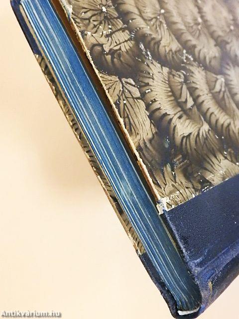 Magyar torna 1935-1936. január-december