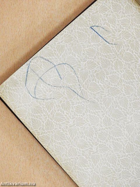 Az «Észak Csillaga» («Stella Polare») az Északi Sarktengeren 1899-1900 I-II.