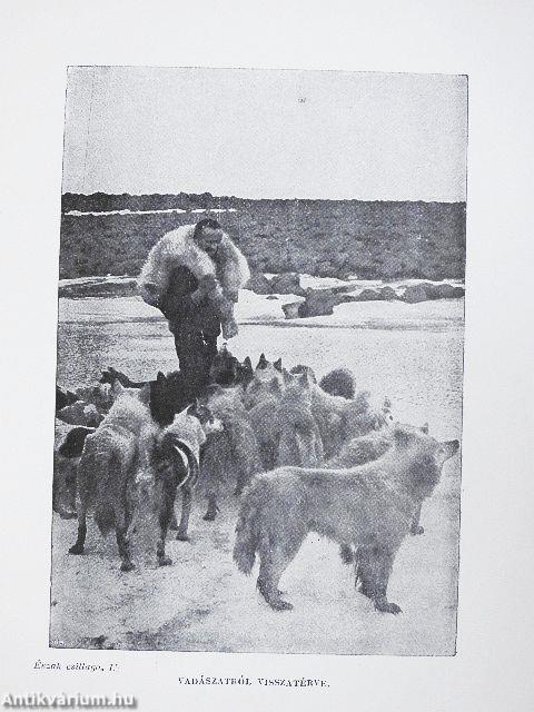 Az «Észak Csillaga» («Stella Polare») az Északi Sarktengeren 1899-1900 I-II.