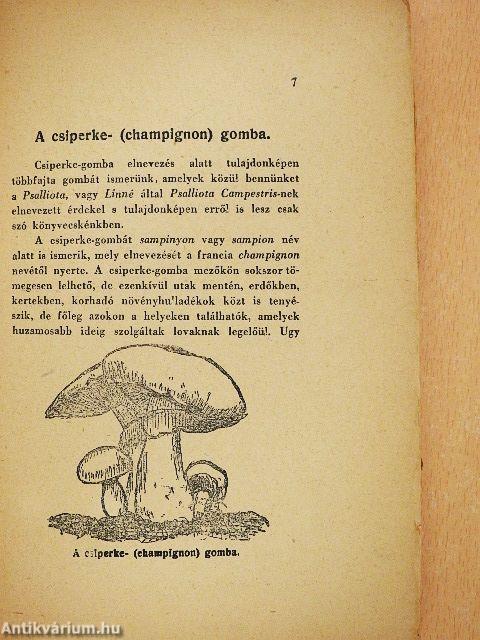 A csiperkegomba tenyésztése