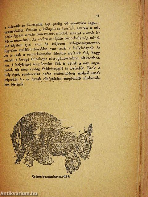 A csiperkegomba tenyésztése