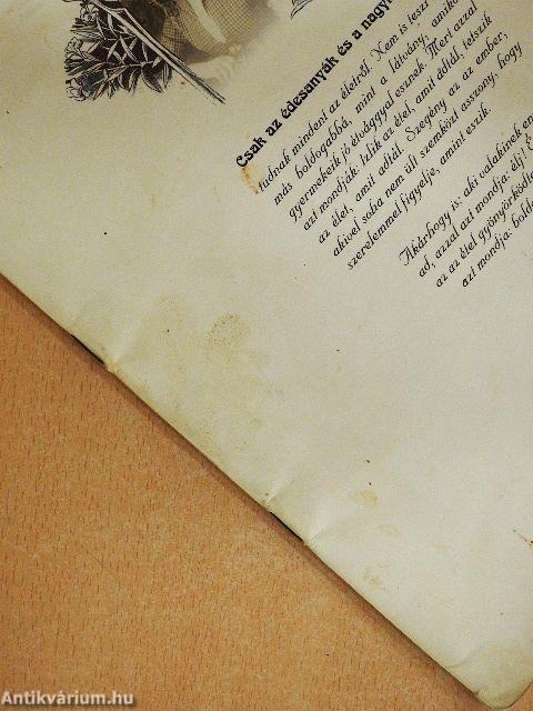 Étlap tavasszal és nyáron