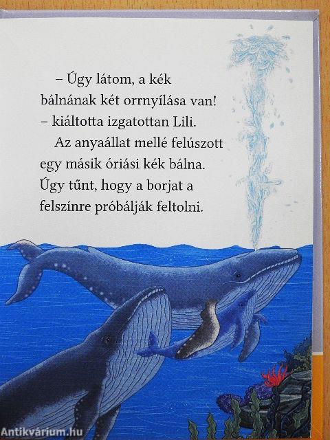 A lombházi ikrek kalandjai a vadonban - Bálnanézőben