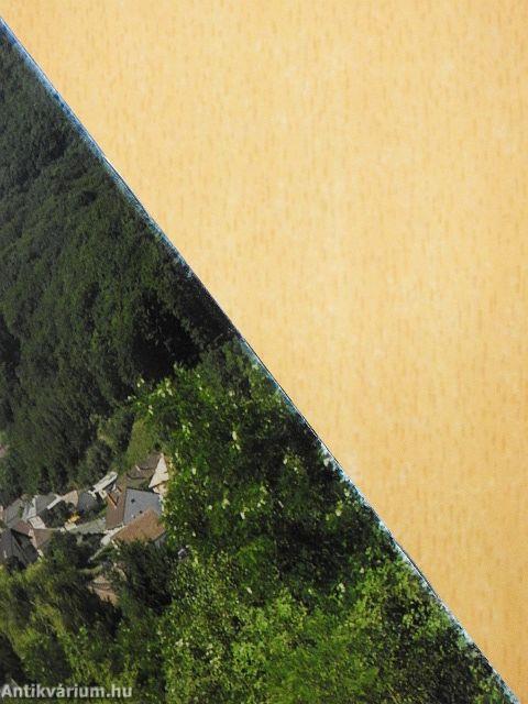 Pilisszentlélek - A falu története-Pálos kolostor