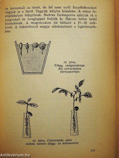 Akvárium, terrárium, szobakert