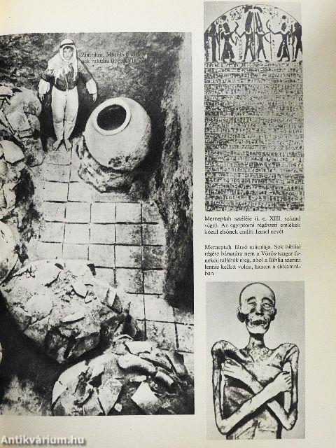 Ásatások a "Bibliai" országokban