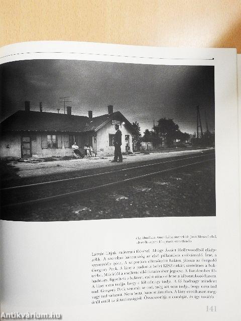 A vajszínű árnyalat 1988-