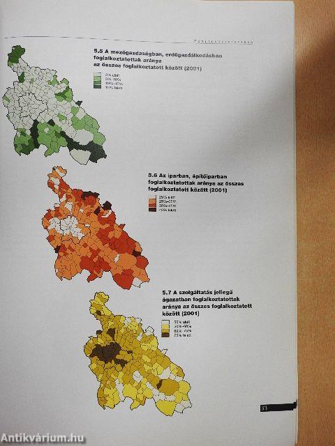 A Közép-magyarországi régió társadalmi atlasza