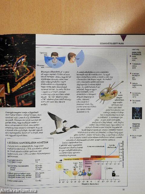 Megmagyarázzuk az emberi testet