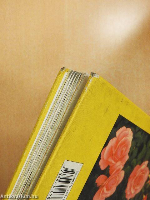 Lazán öröm kertészkedni