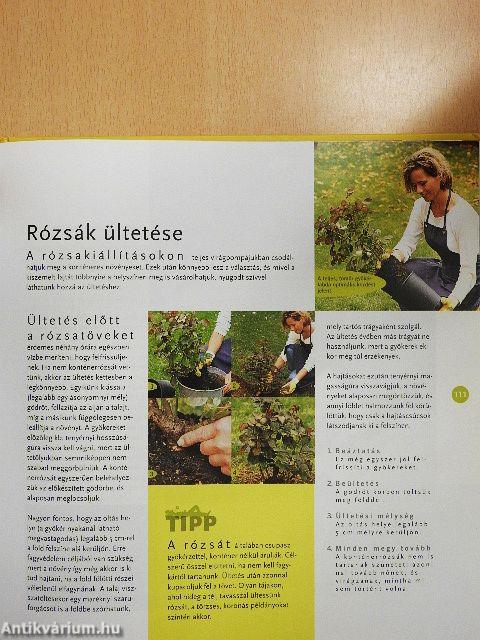 Lazán öröm kertészkedni