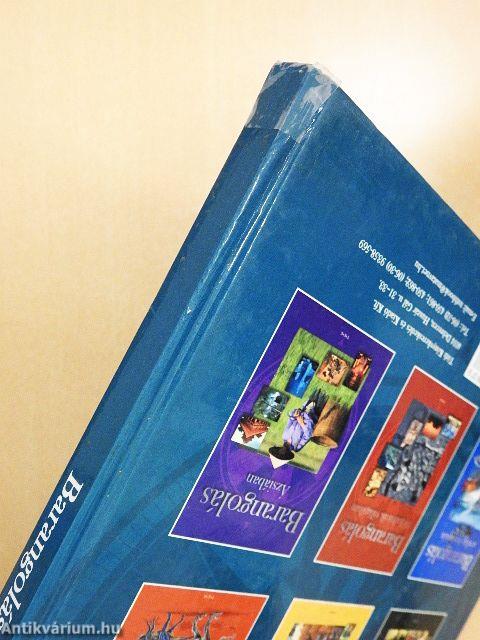 Barangolás a festészet világában