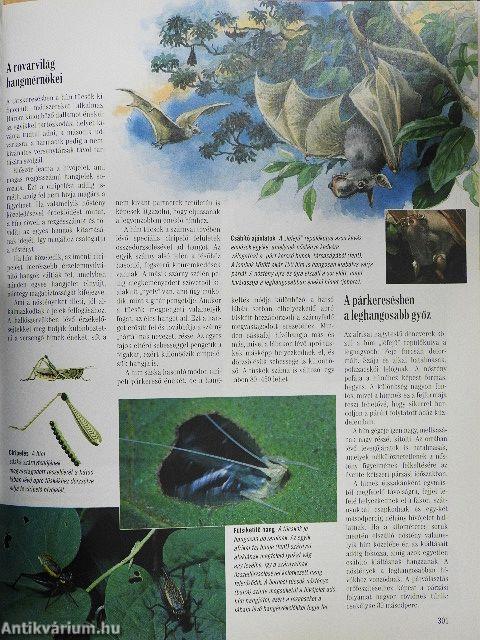 A természet megfejtett titkai