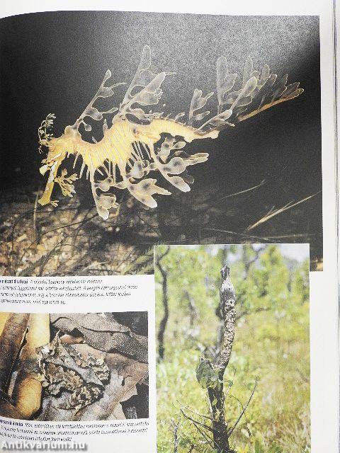 A természet megfejtett titkai