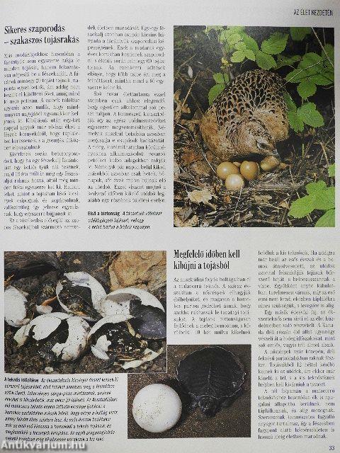 A természet megfejtett titkai