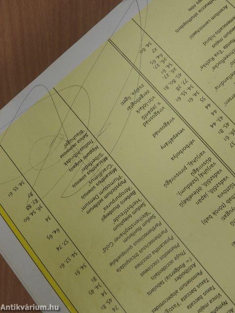 Lazán öröm kertészkedni