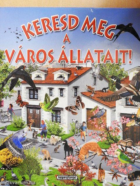 Keresd meg a város állatait!