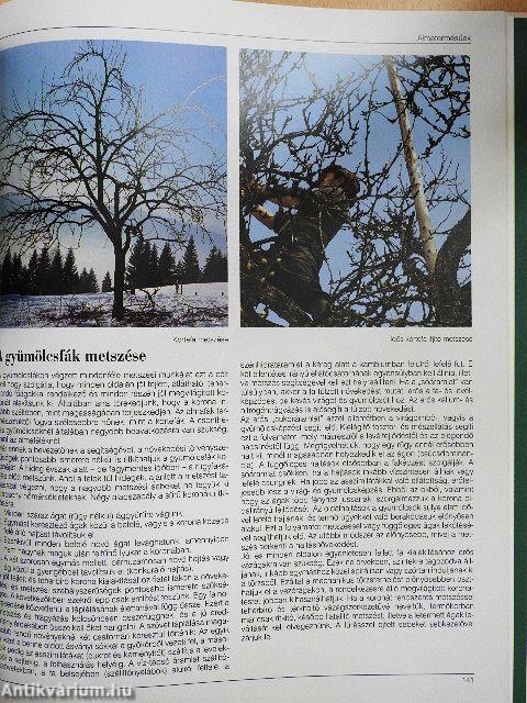 Haszonnövények ábécéje