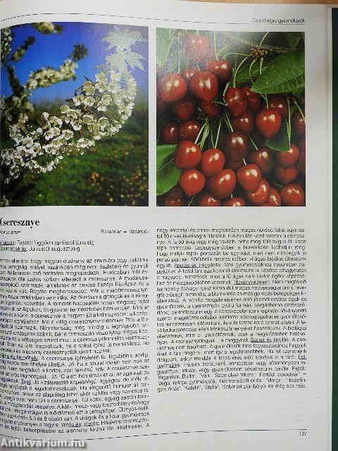 Haszonnövények ábécéje