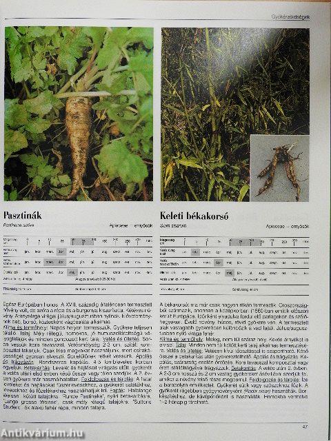 Haszonnövények ábécéje