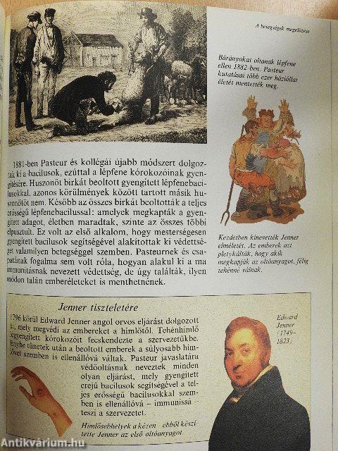 Louis Pasteur és a bacilusok