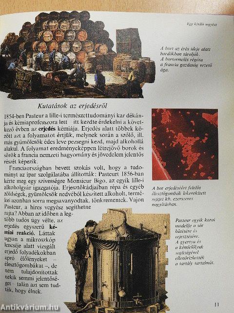 Louis Pasteur és a bacilusok