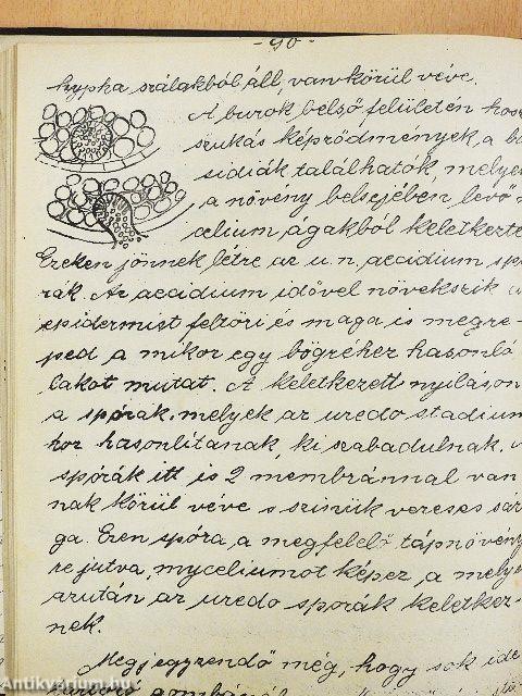 Növénykórtan-Phythopatologia