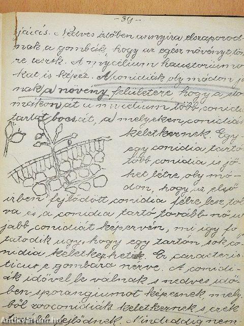 Növénykórtan-Phythopatologia