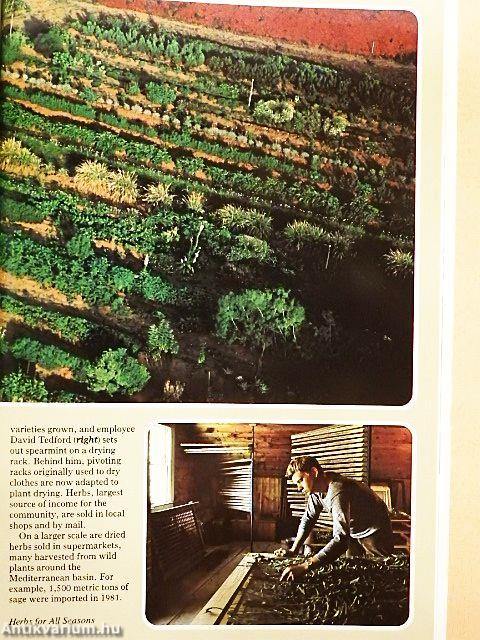 National Geographic March 1983