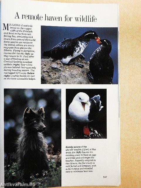 National Geographic October 1982