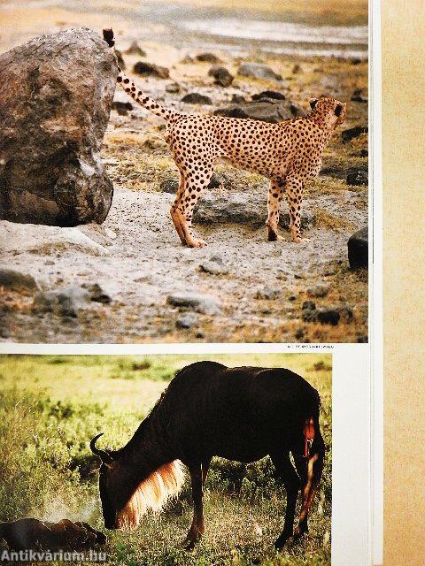 National Geographic September 1986