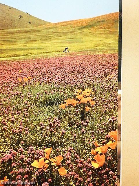 National Geographic November 1979