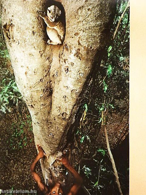 National Geographic August 1988