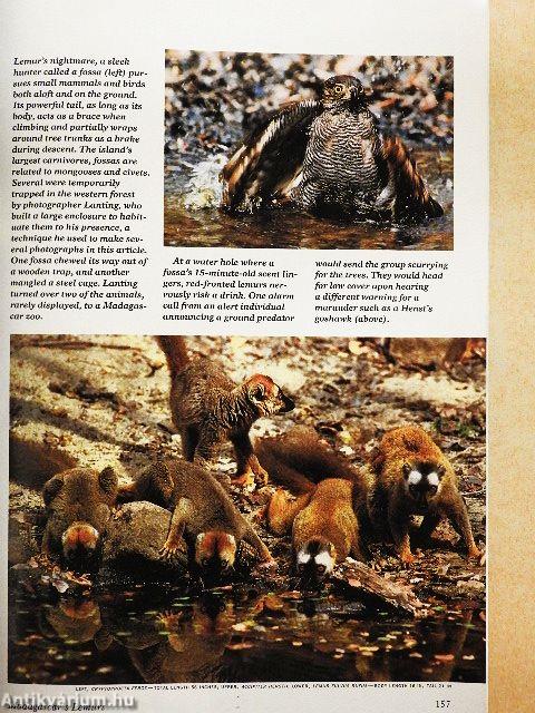 National Geographic August 1988
