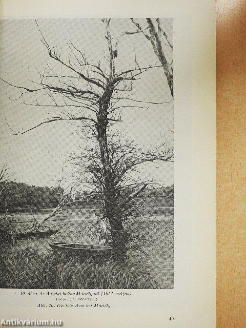 Aquila - A Magyar Madártani Intézet évkönyve 1971-1972