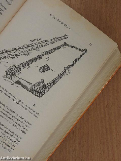 Megoldatlan rejtélyek az amerikai történelemben