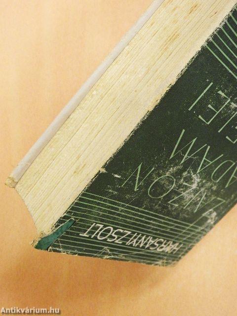 Zajzon Ádám levelei