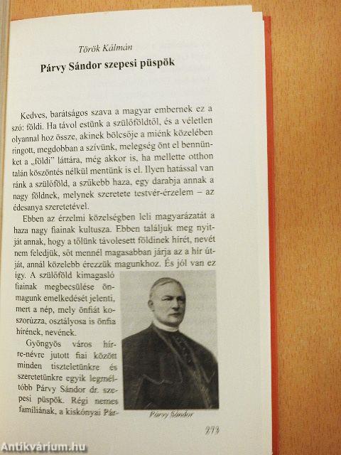 Gyöngyösi krónika