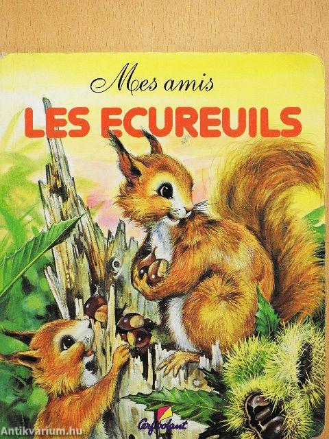 Les ecureuils