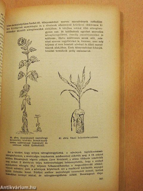 A növényélettan rövid tankönyve