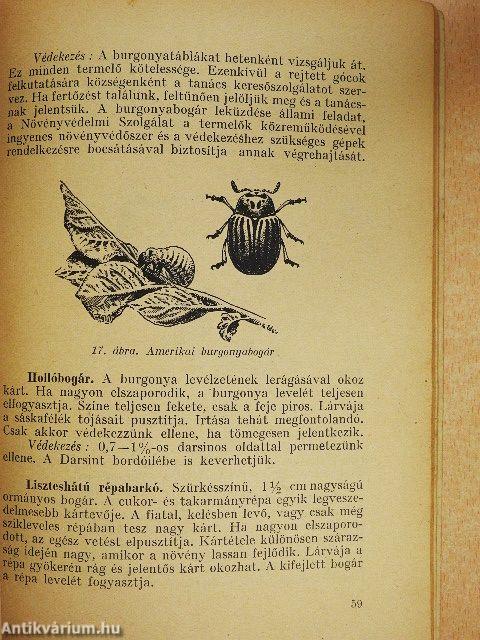 Permetezés, porozás