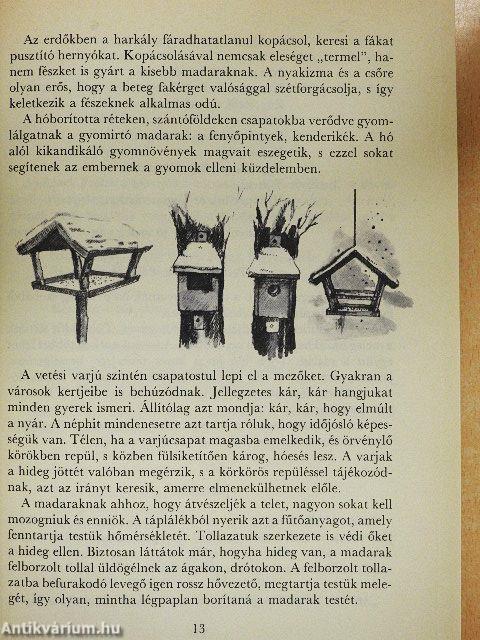 A Nyitnikék kalendáriuma