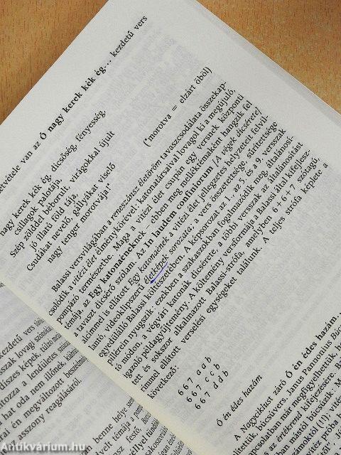 Magyar irodalmi kalauz