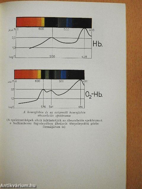 A modern biokémia alapkérdései