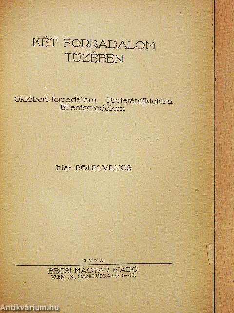 Két forradalom tüzében