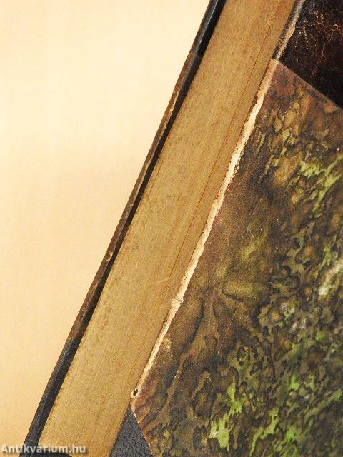 Két forradalom tüzében